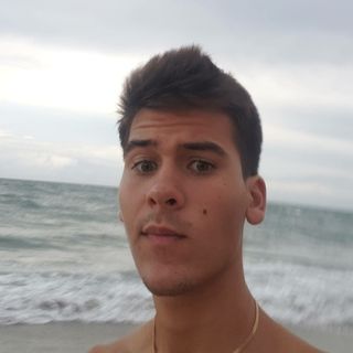 nyu university logo that represents students that use college tools chrome extension